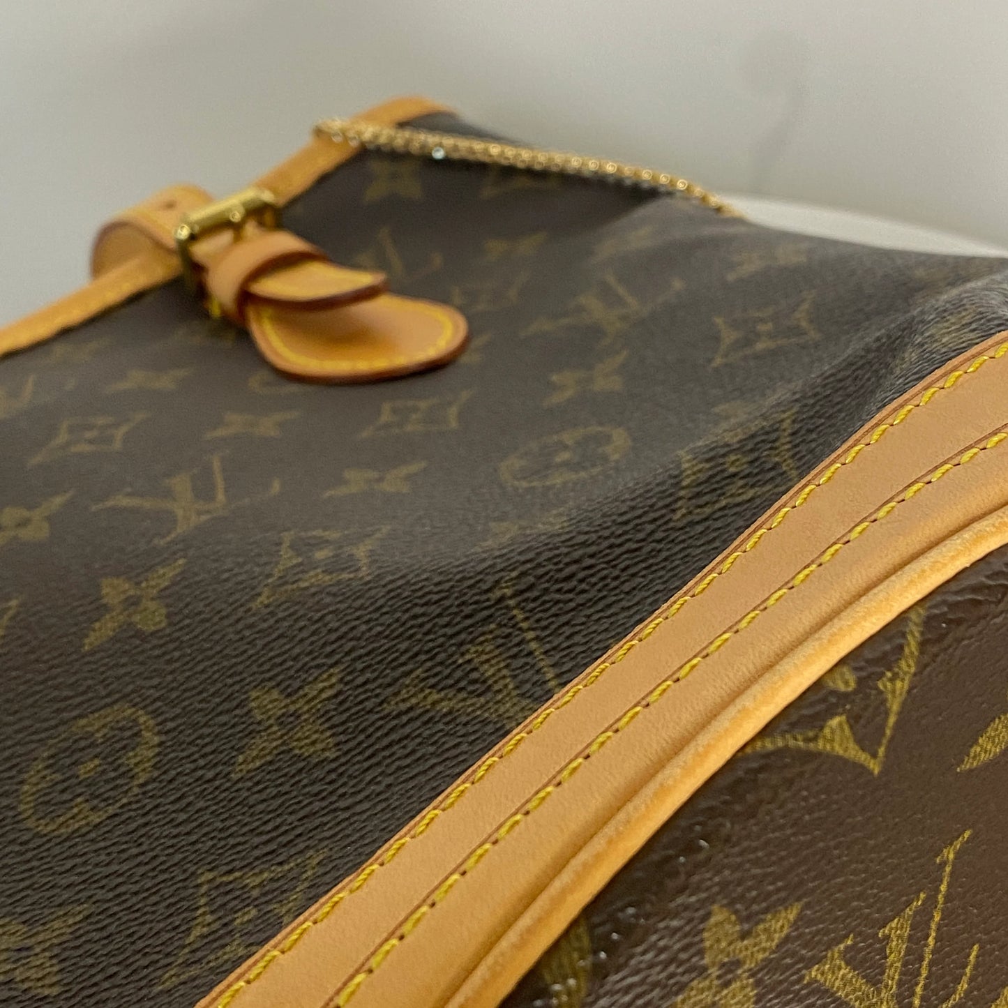 Louis Vuitton Bucket PM Monogram