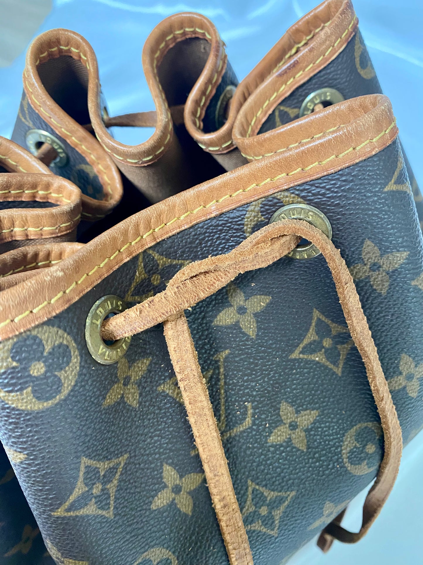 Louis Vuitton Noé MM