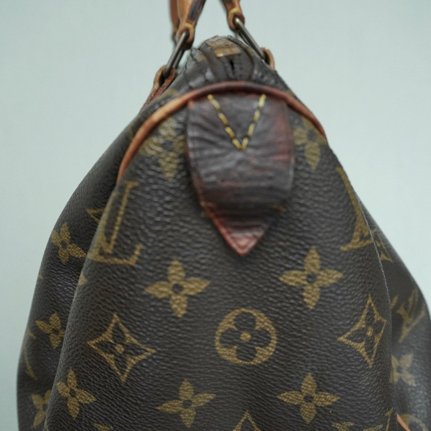 Louis Vuitton Speedy 30 Monogram